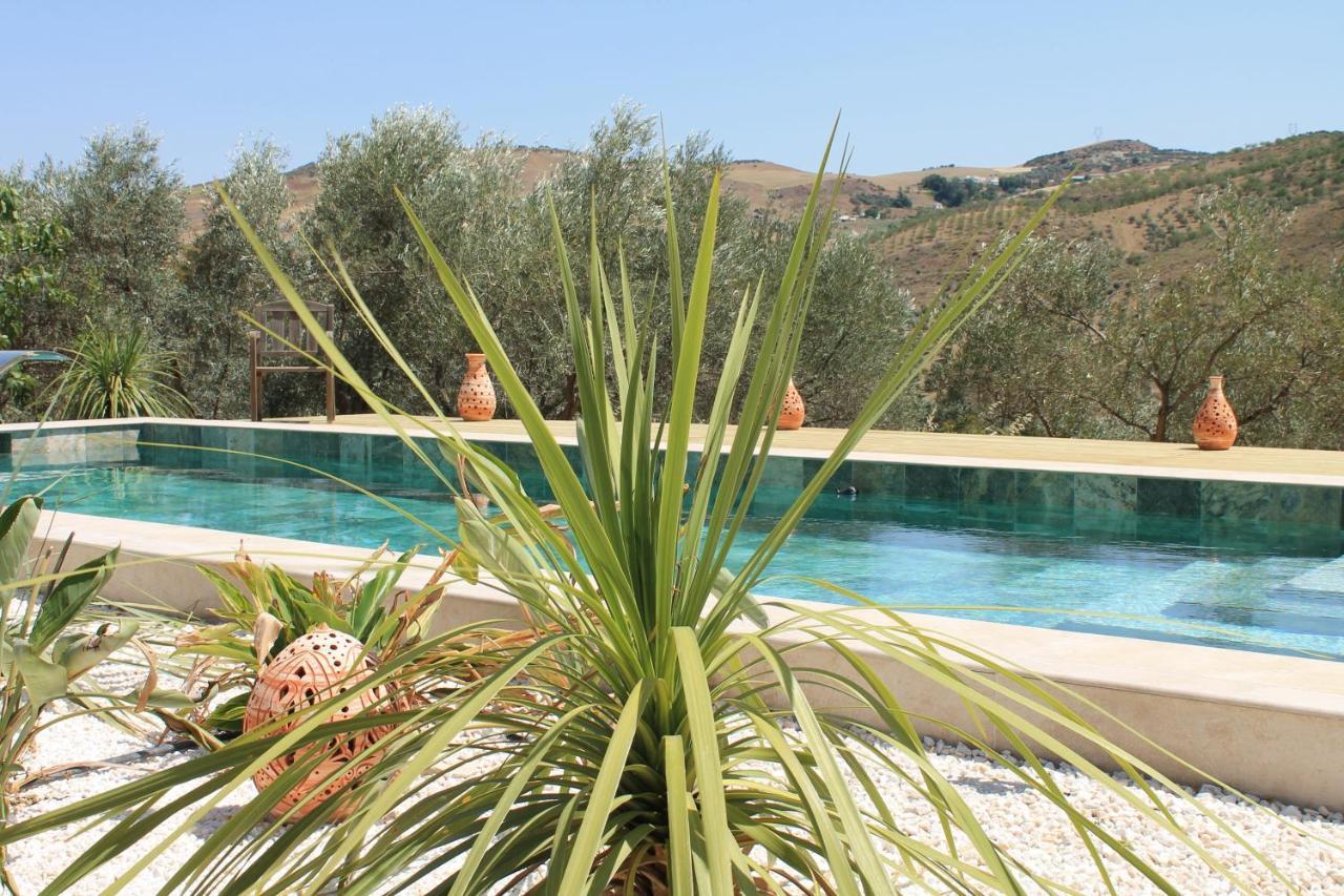Finca Altozano - Private Pool - Unique Client Valle de Abdalagís Dış mekan fotoğraf