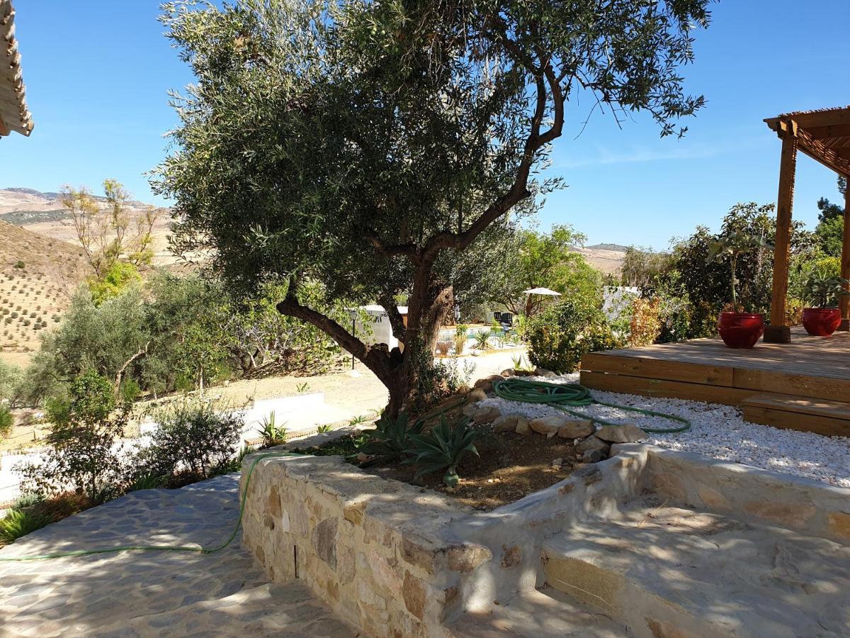 Finca Altozano - Private Pool - Unique Client Valle de Abdalagís Dış mekan fotoğraf