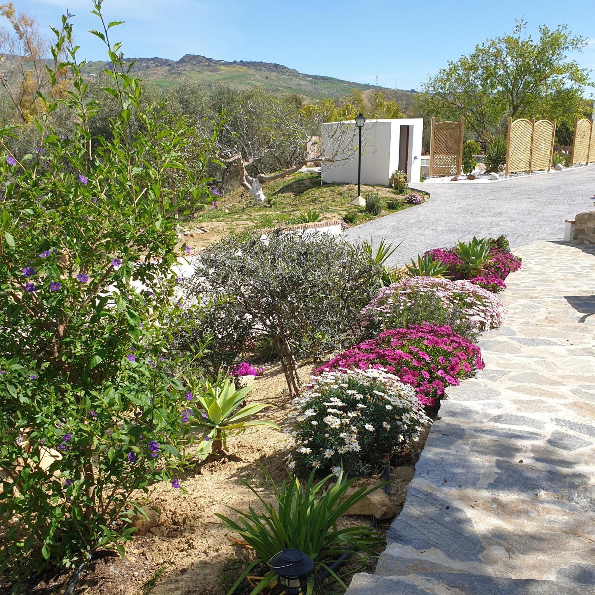Finca Altozano - Private Pool - Unique Client Valle de Abdalagís Dış mekan fotoğraf