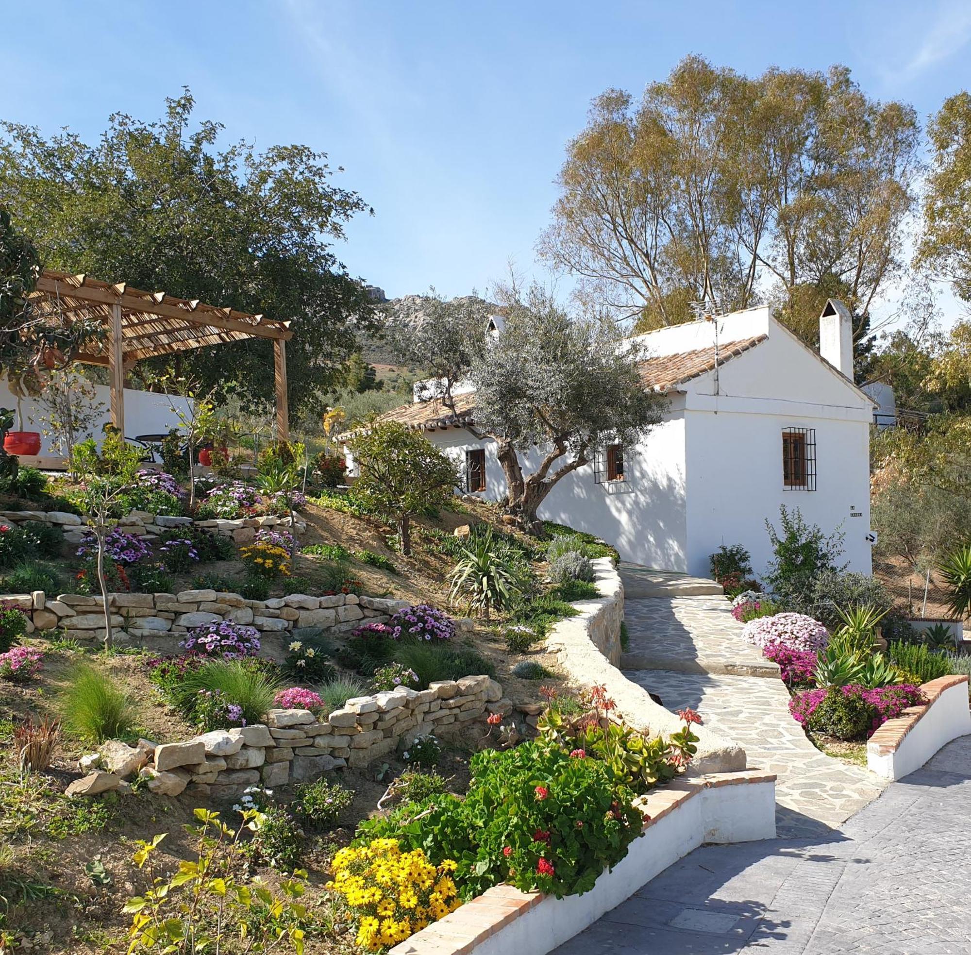 Finca Altozano - Private Pool - Unique Client Valle de Abdalagís Dış mekan fotoğraf