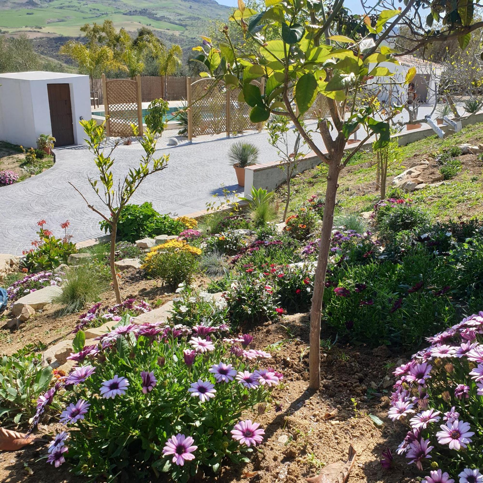 Finca Altozano - Private Pool - Unique Client Valle de Abdalagís Dış mekan fotoğraf