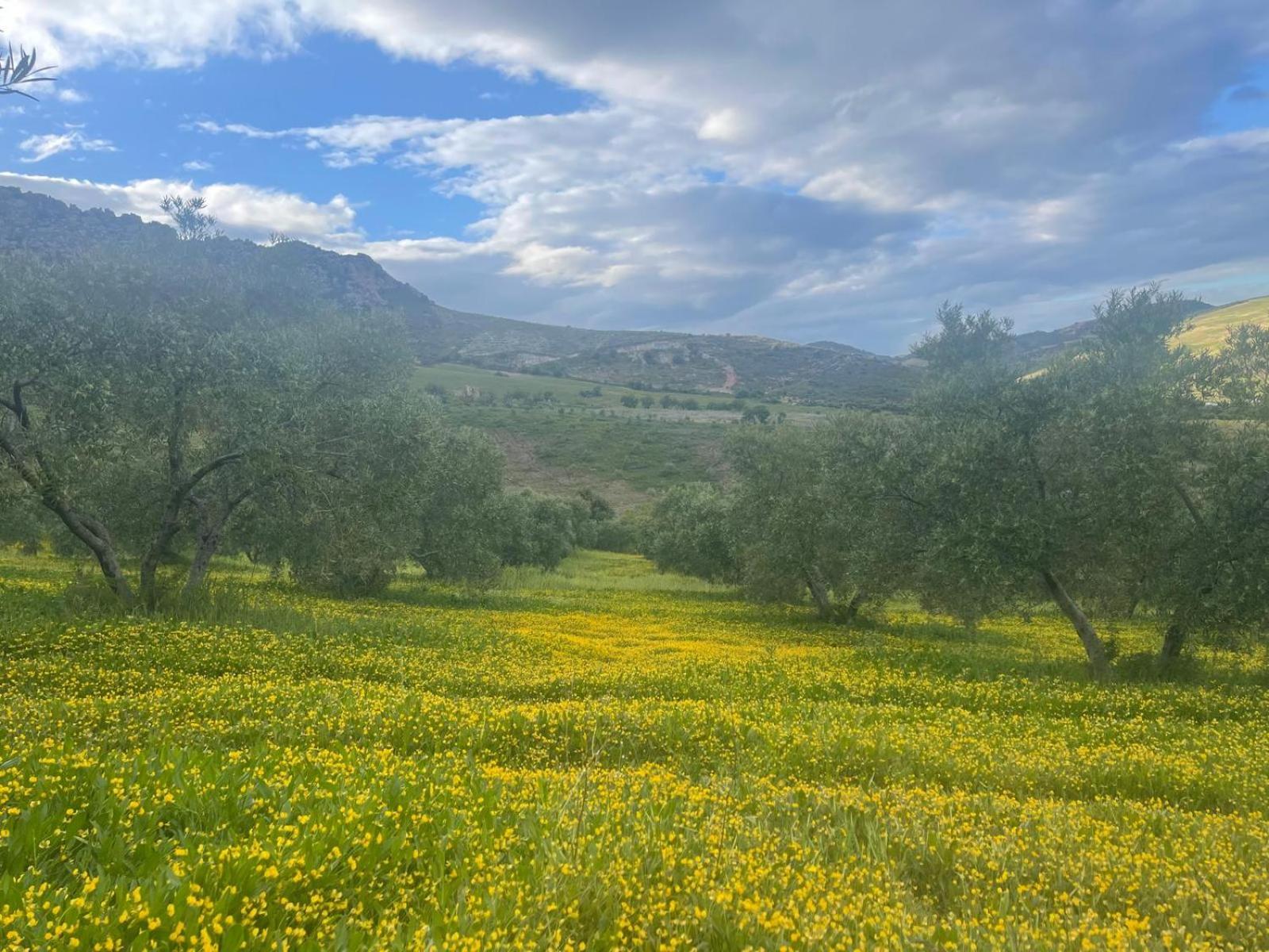 Finca Altozano - Private Pool - Unique Client Valle de Abdalagís Dış mekan fotoğraf